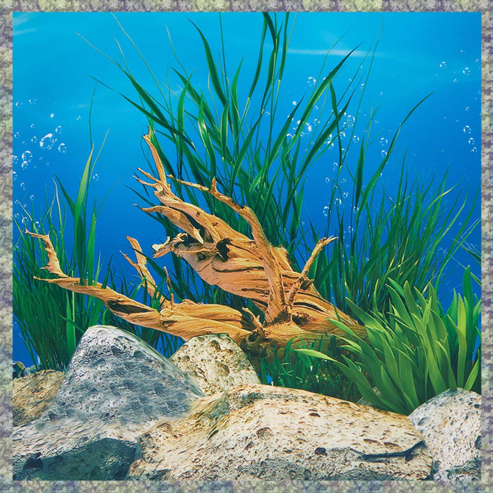 WON Aquarium Background Paper  - Aquarium Fish Wallpaper Hd ulasan dan harga
