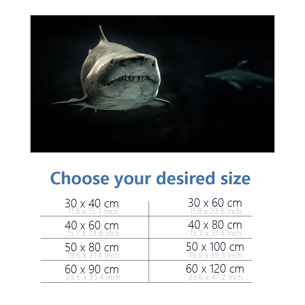 Aquarium Background 3D Shark B - Aquarium Fish Wallpaper Hd ulasan dan harga